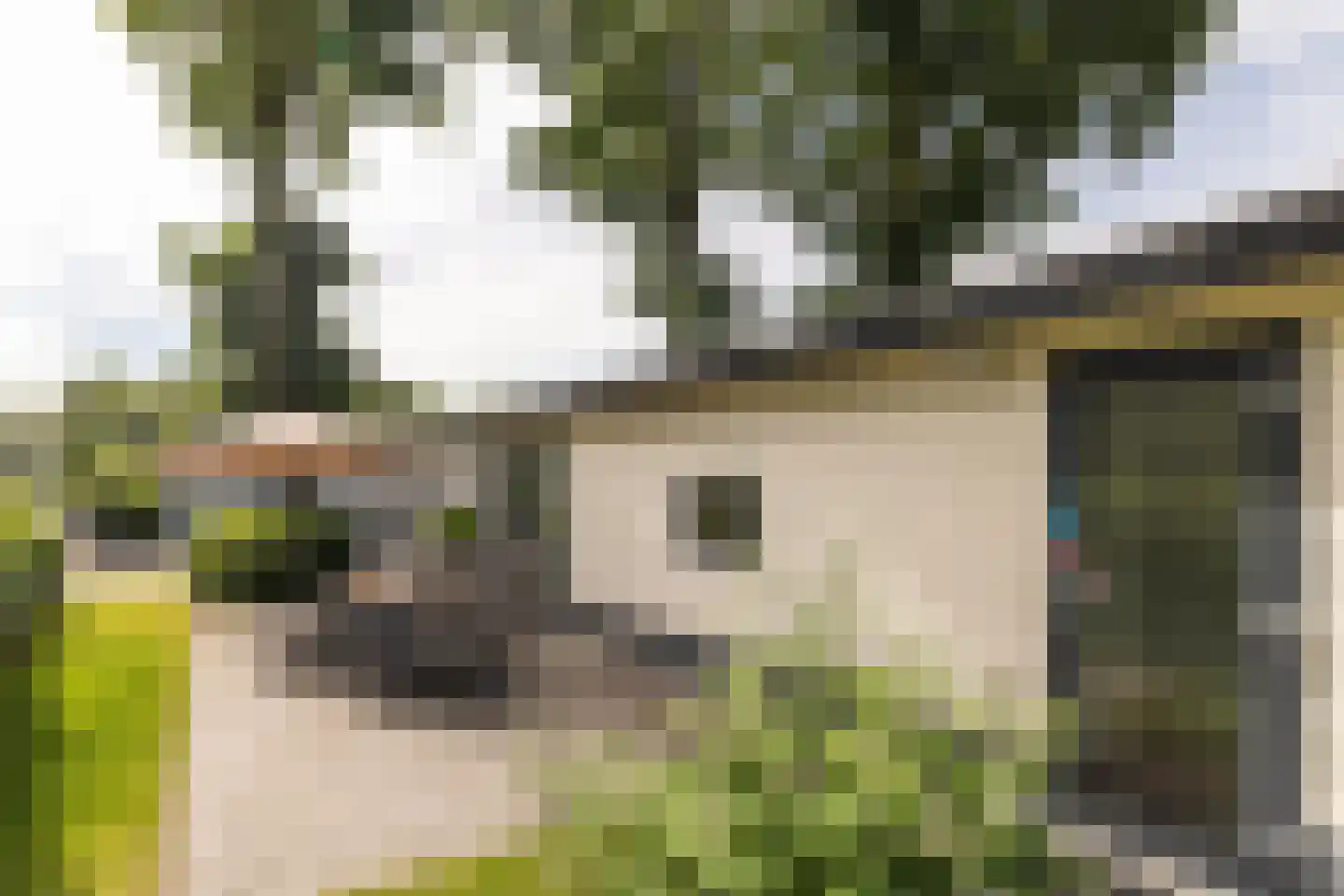 Loverensestraat 11 R D9 Cromvoirt thumbnail 18