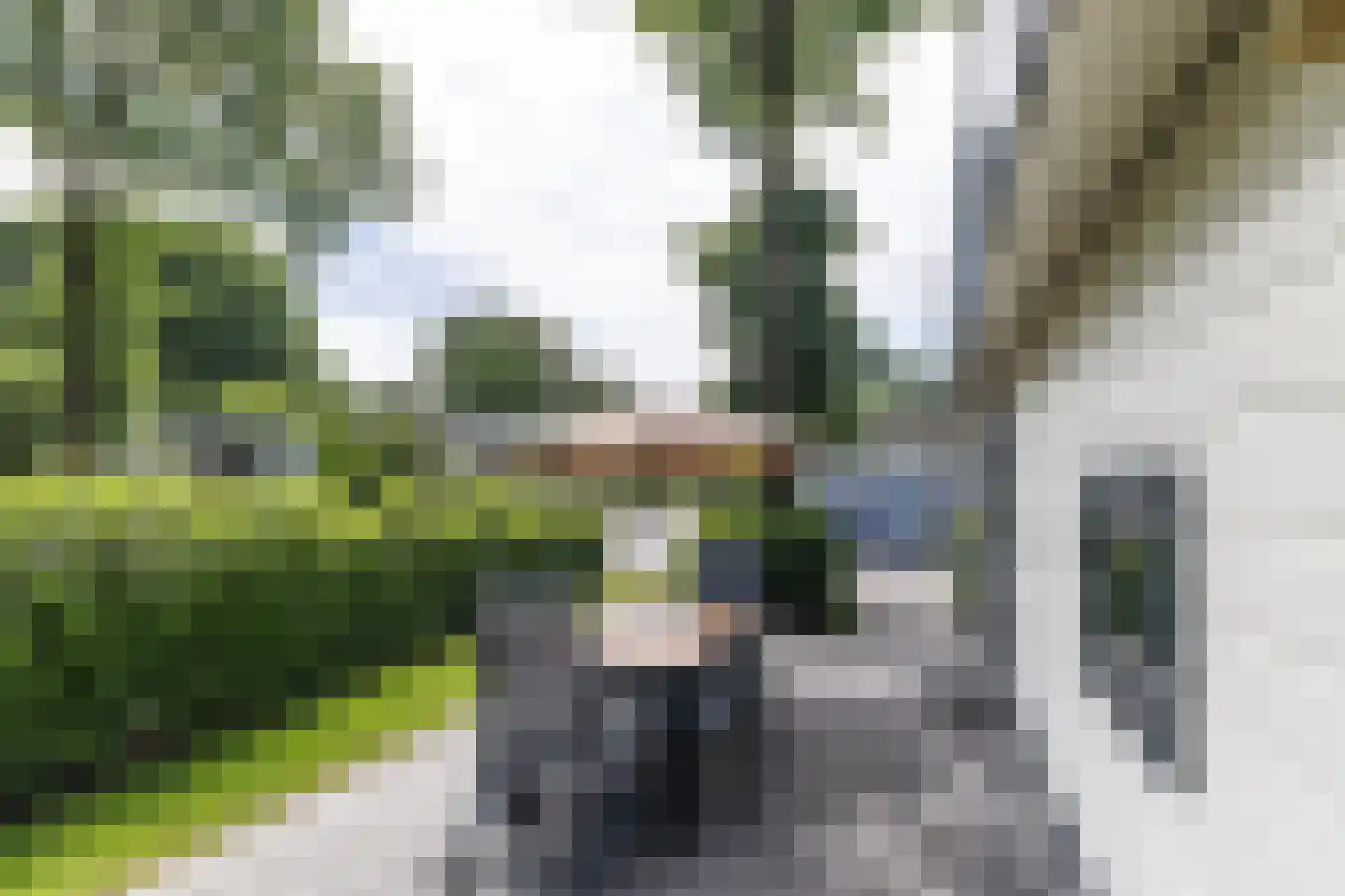 Loverensestraat 11 R D9 Cromvoirt thumbnail 19