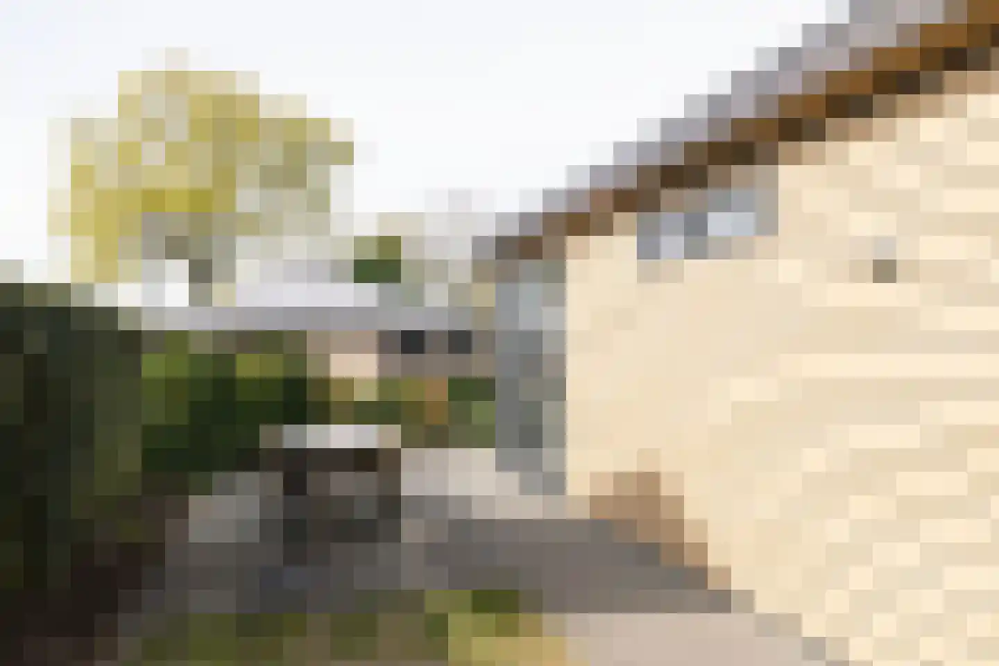 Loverensestraat 11 R D9 Cromvoirt thumbnail 23