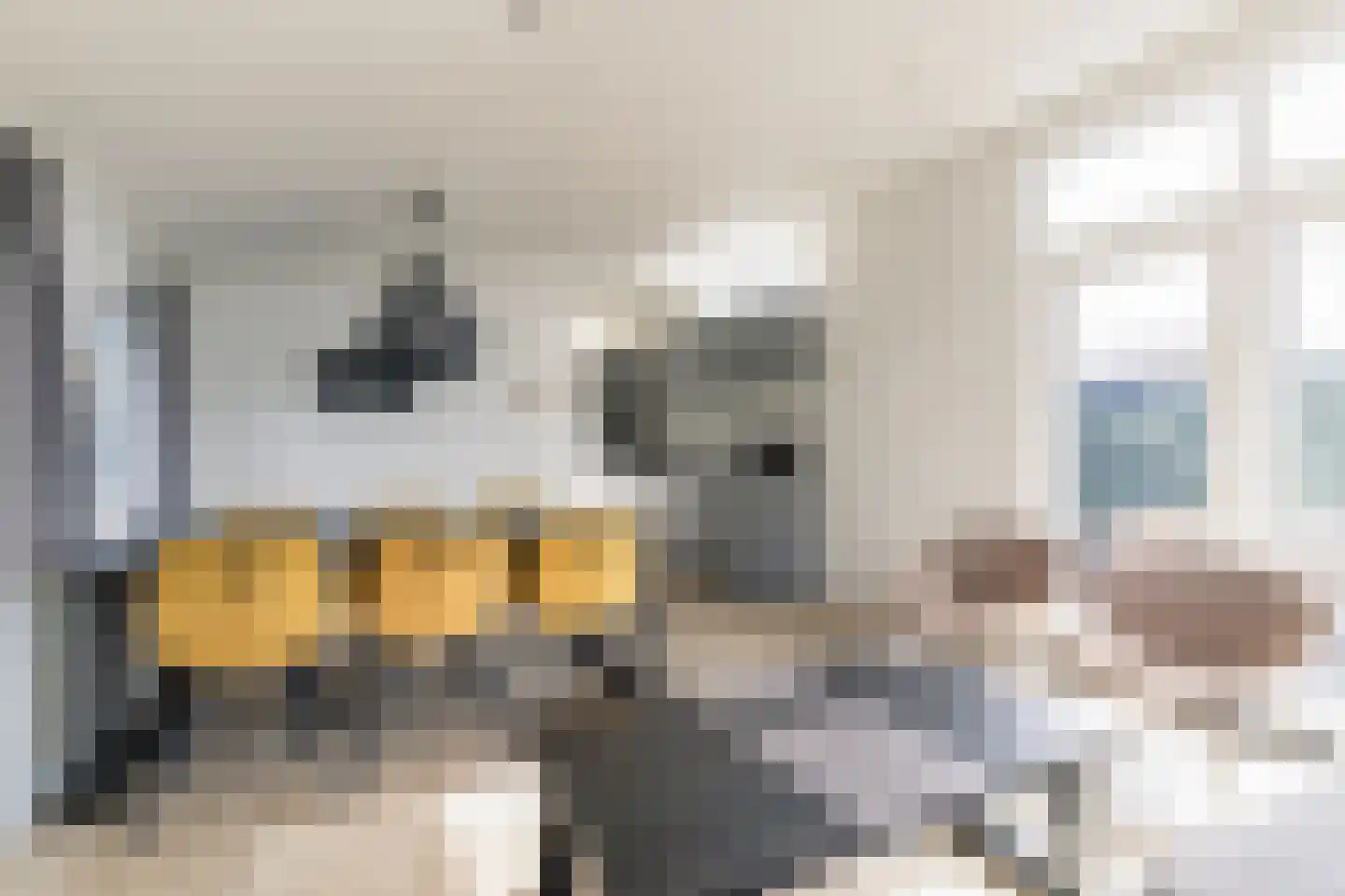 Loverensestraat 11 R D9 Cromvoirt thumbnail 5