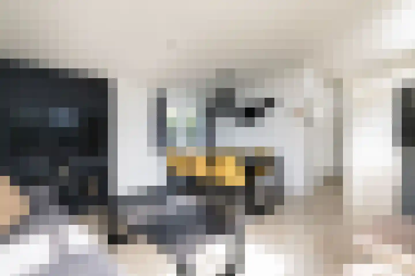Loverensestraat 11 R D9 Cromvoirt thumbnail 7