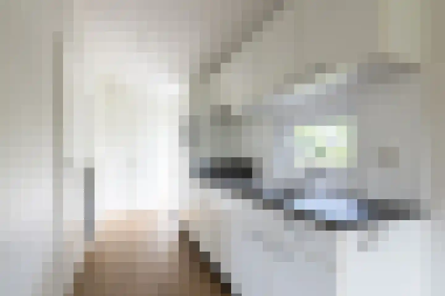 Loverensestraat 11 R D9 Cromvoirt thumbnail 9