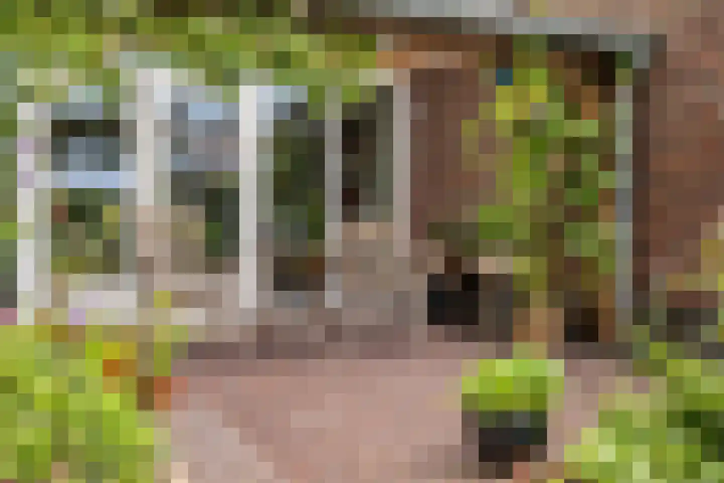 Loverensestraat 27 A Cromvoirt thumbnail 39