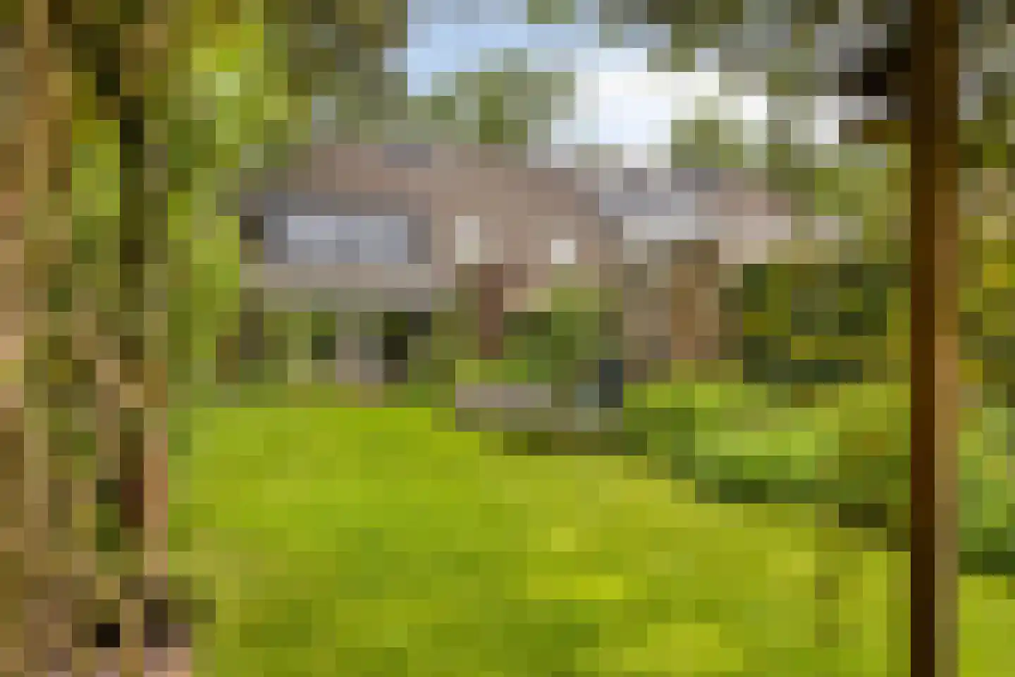 Loverensestraat 27 A Cromvoirt thumbnail 48