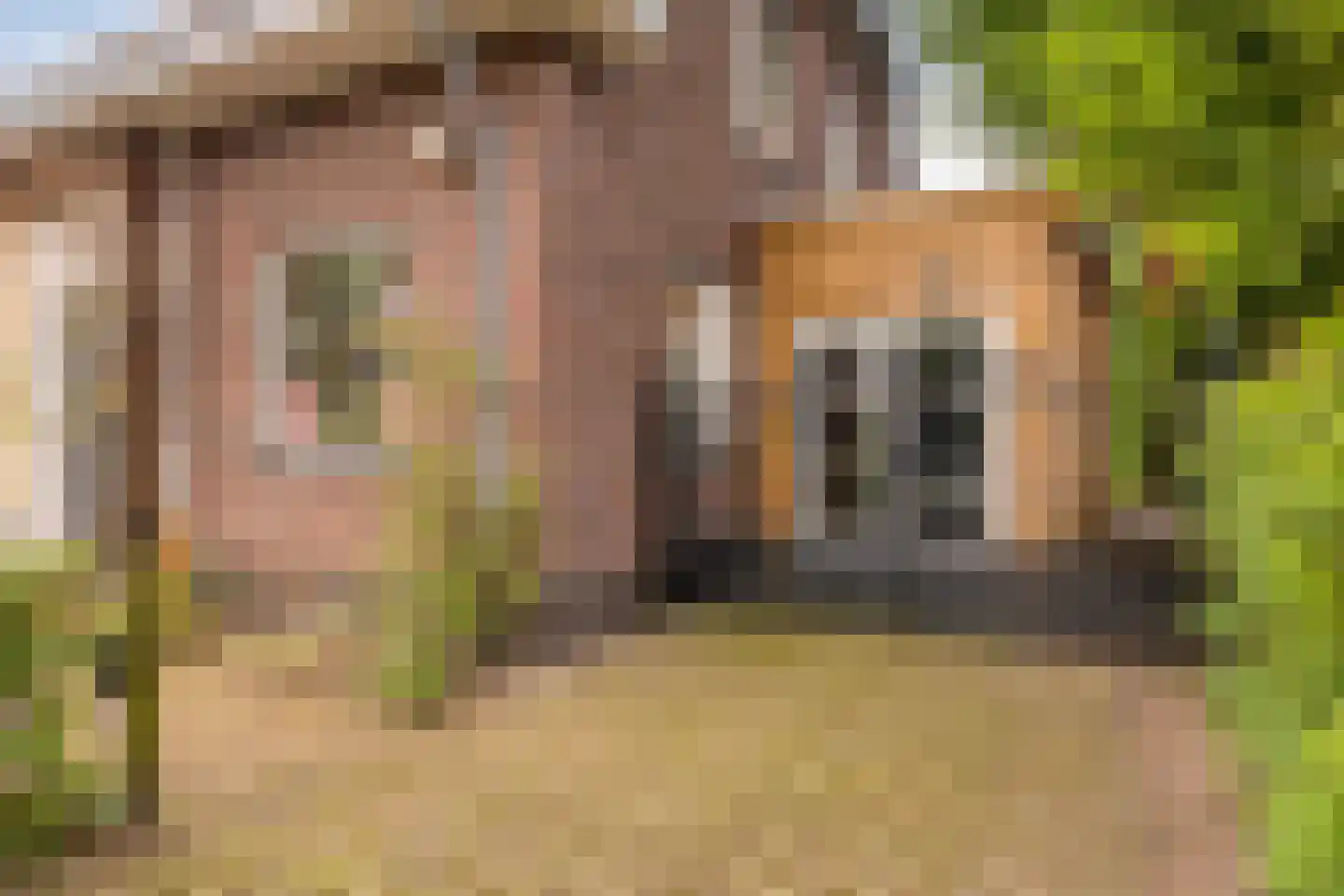 Loverensestraat 27 A Cromvoirt thumbnail 61