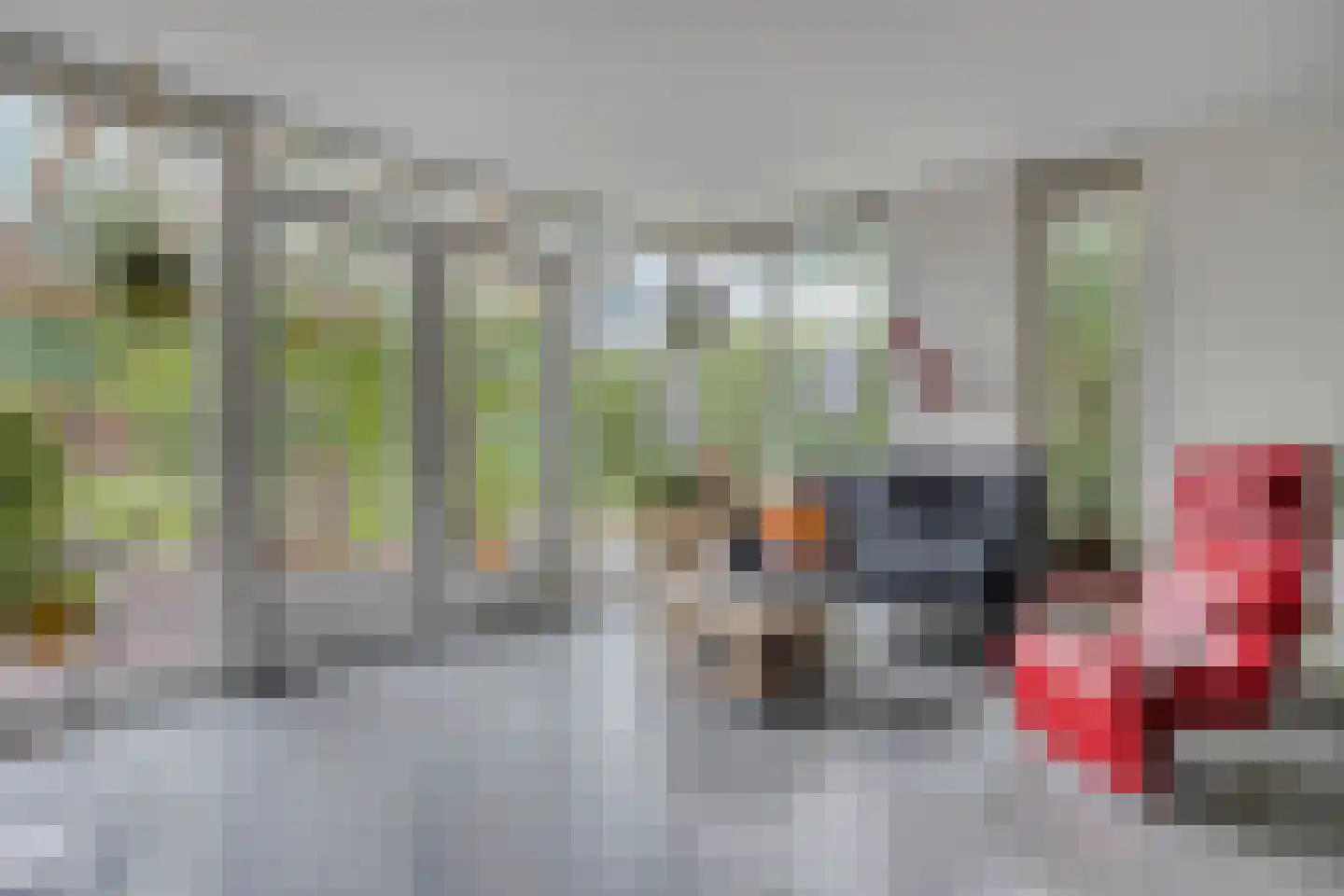 Loverensestraat 27 A Cromvoirt thumbnail 9