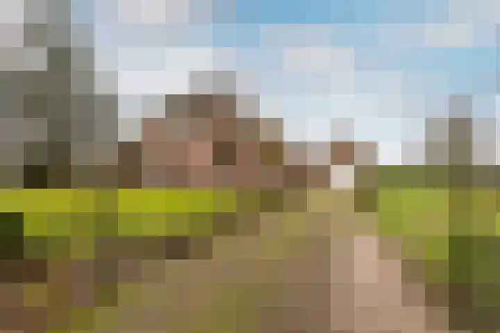 Loverensestraat 5 in Cromvoirt