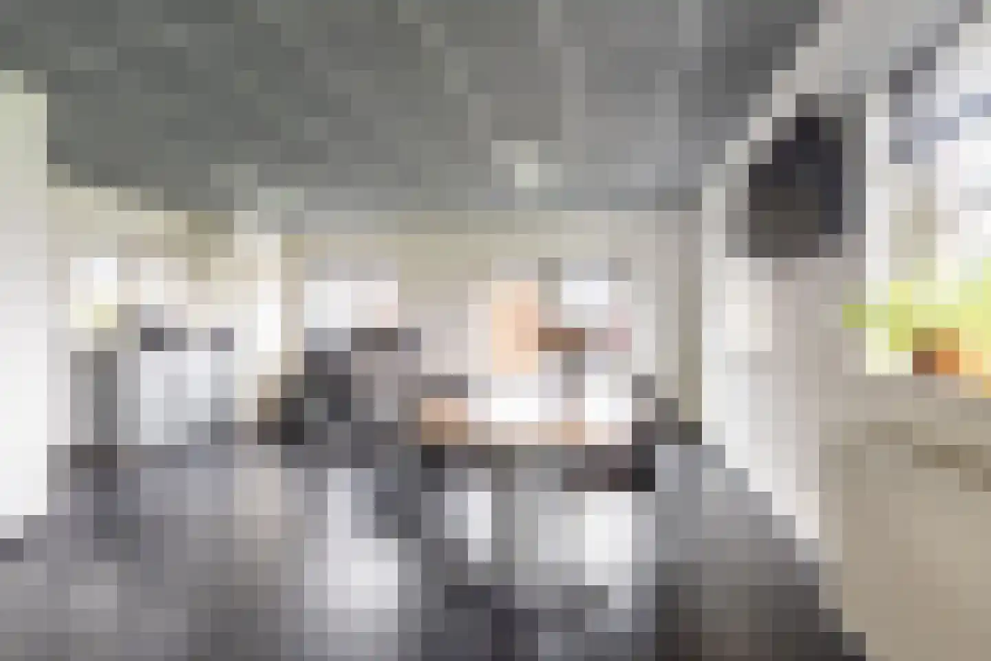 Loverensestraat 5 Cromvoirt thumbnail 15