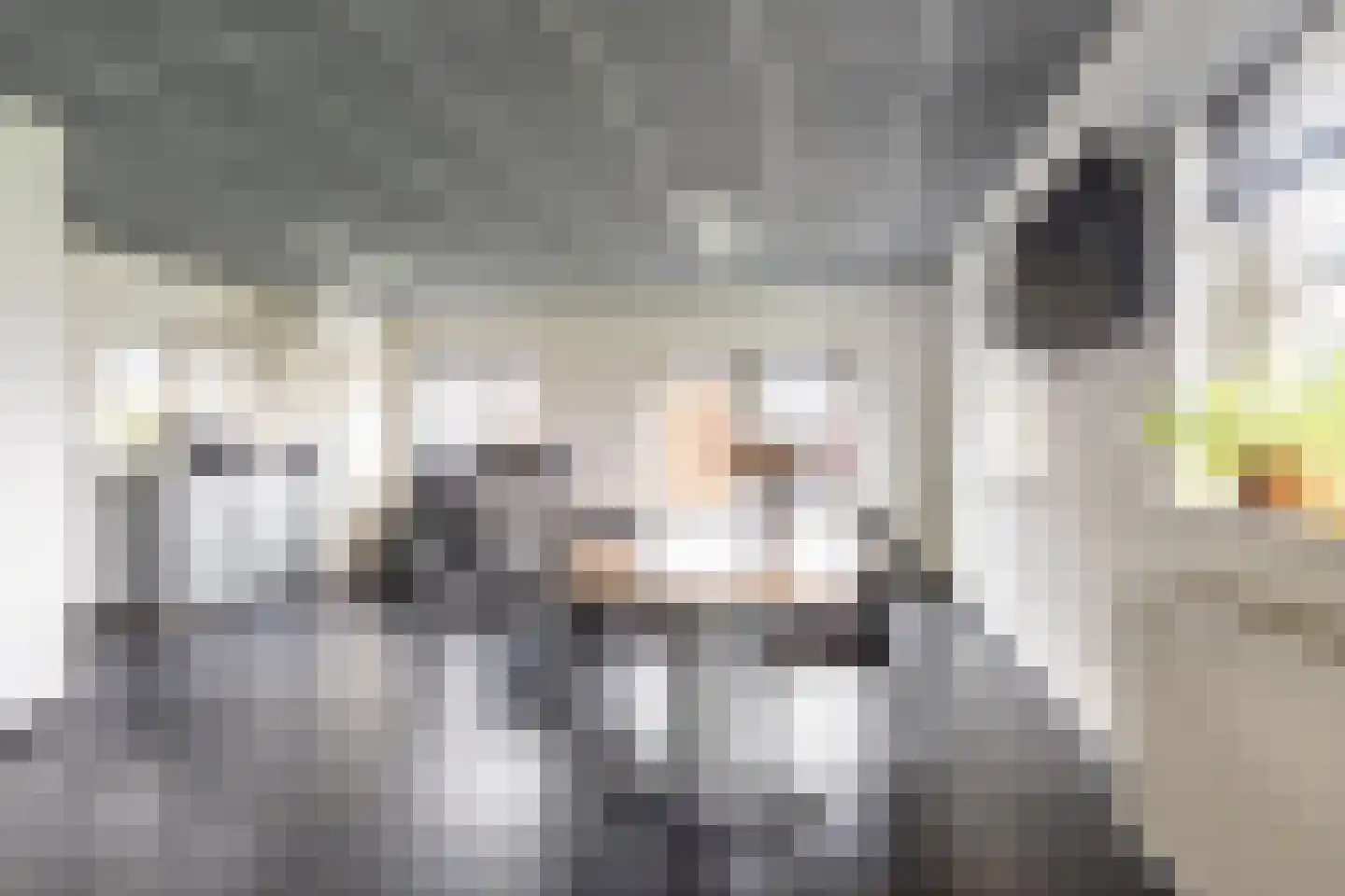Loverensestraat 5 Cromvoirt thumbnail 17