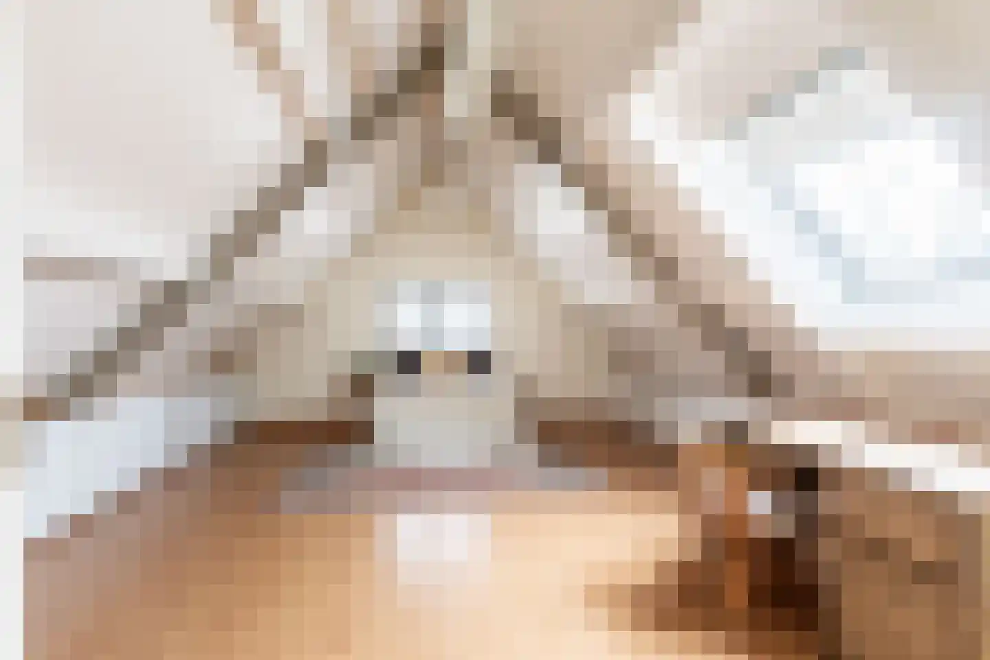 Loverensestraat 5 Cromvoirt thumbnail 20