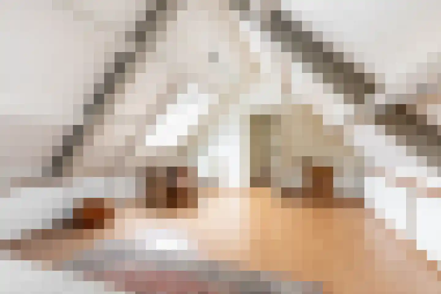 Loverensestraat 5 Cromvoirt thumbnail 21
