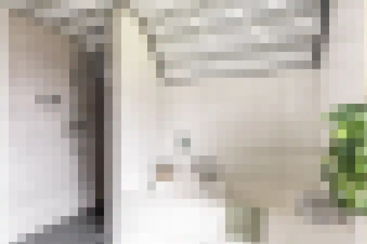 Loverensestraat 5 Cromvoirt thumbnail 26