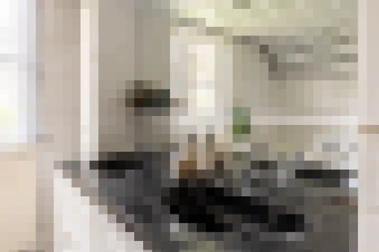 Loverensestraat 5 Cromvoirt thumbnail 28