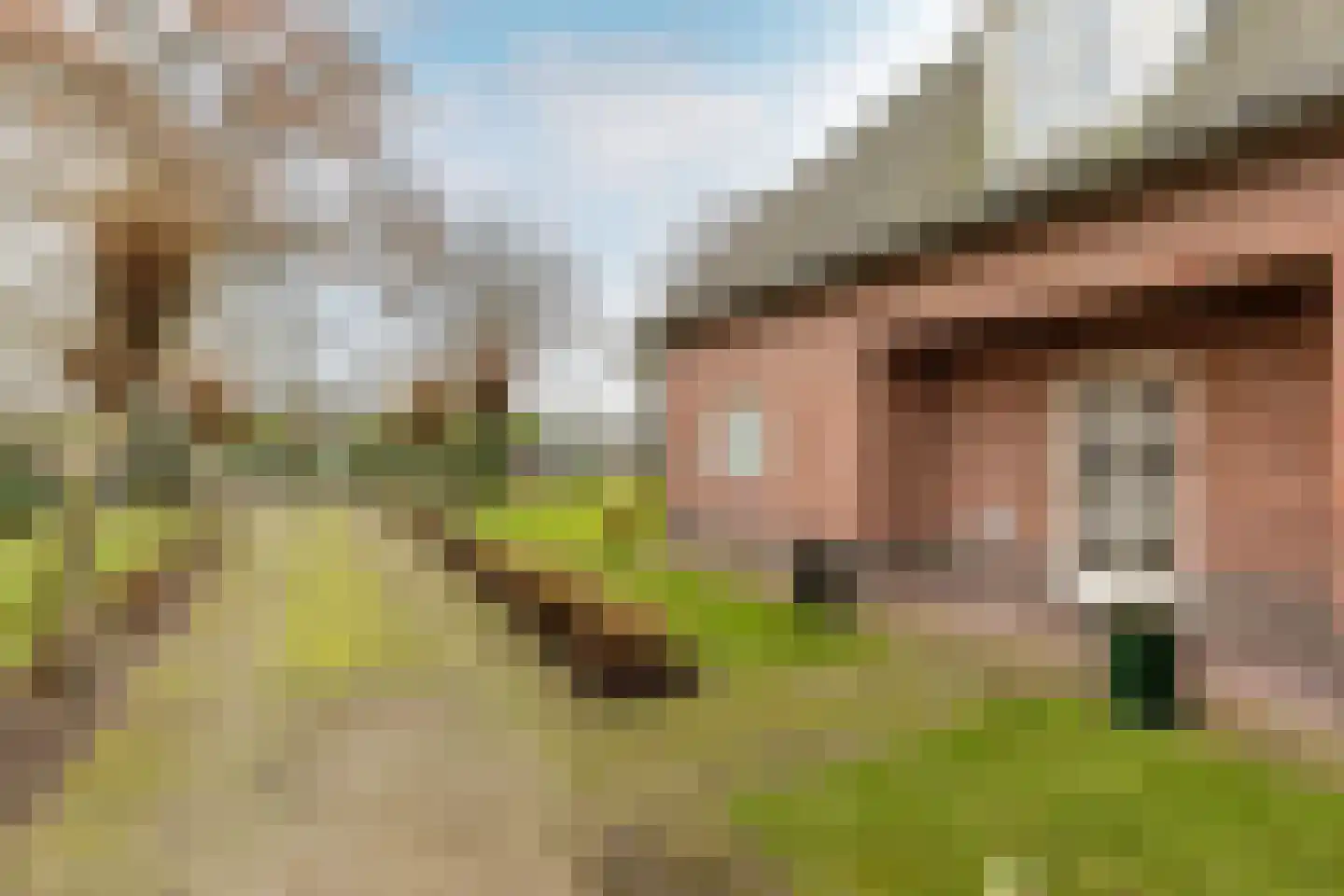 Loverensestraat 5 Cromvoirt thumbnail 39