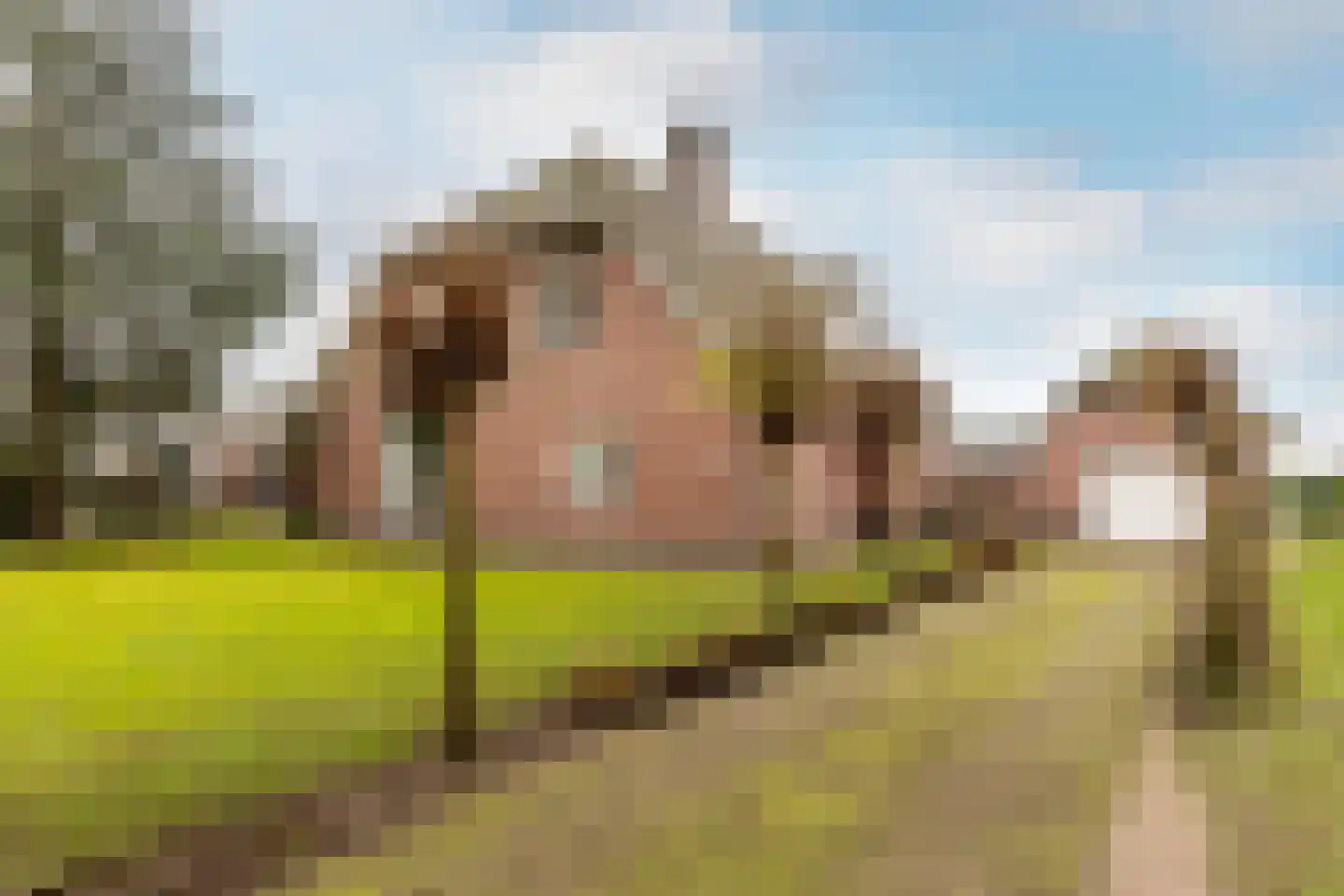Loverensestraat 5 Cromvoirt thumbnail 45