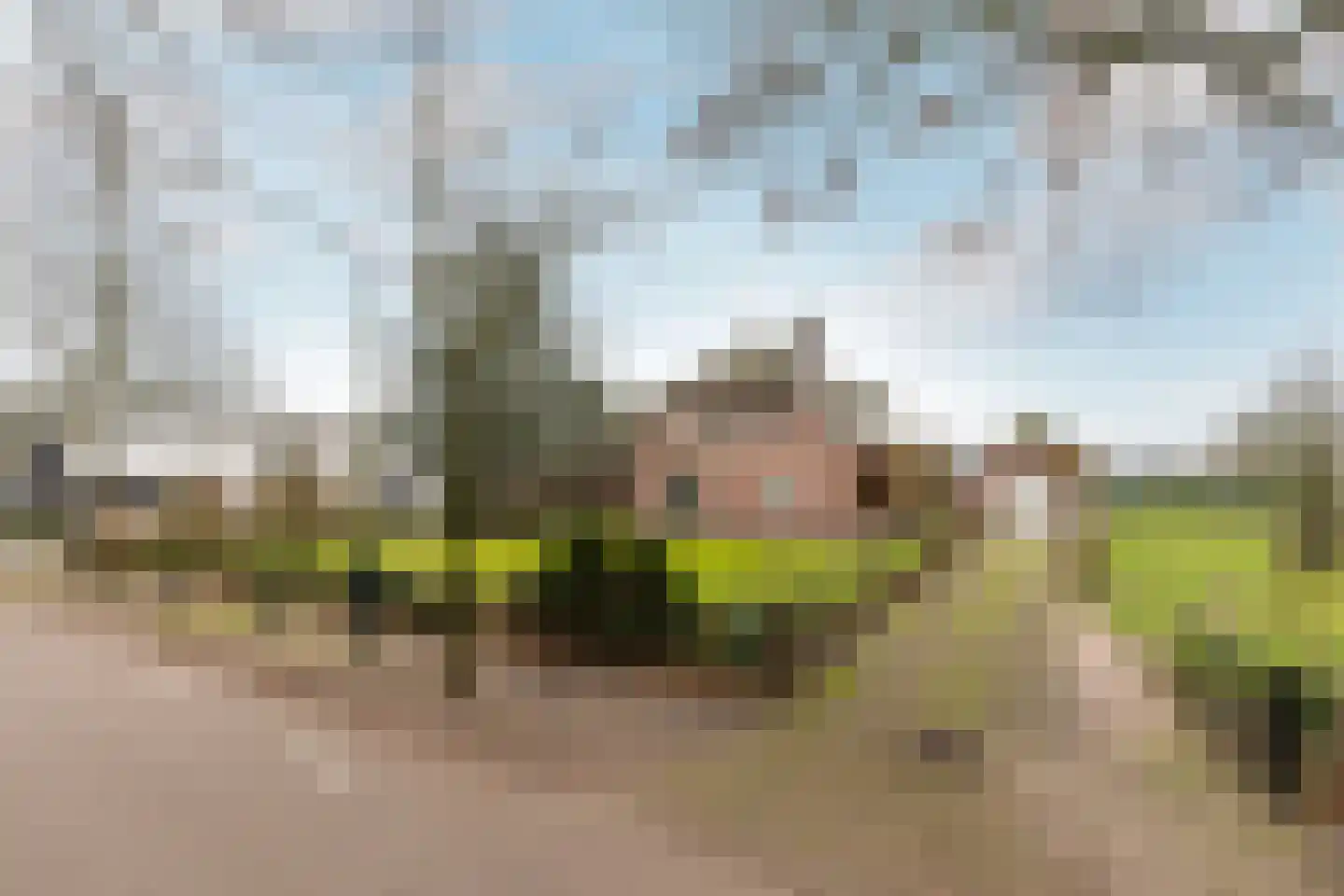 Loverensestraat 5 Cromvoirt thumbnail 46