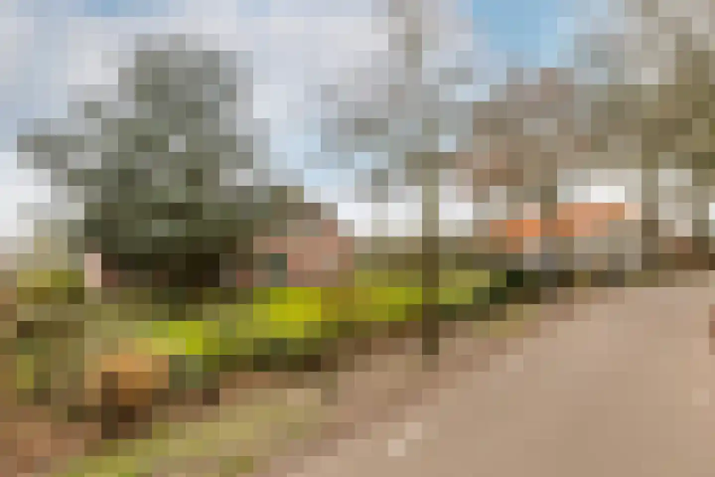 Loverensestraat 5 Cromvoirt thumbnail 47