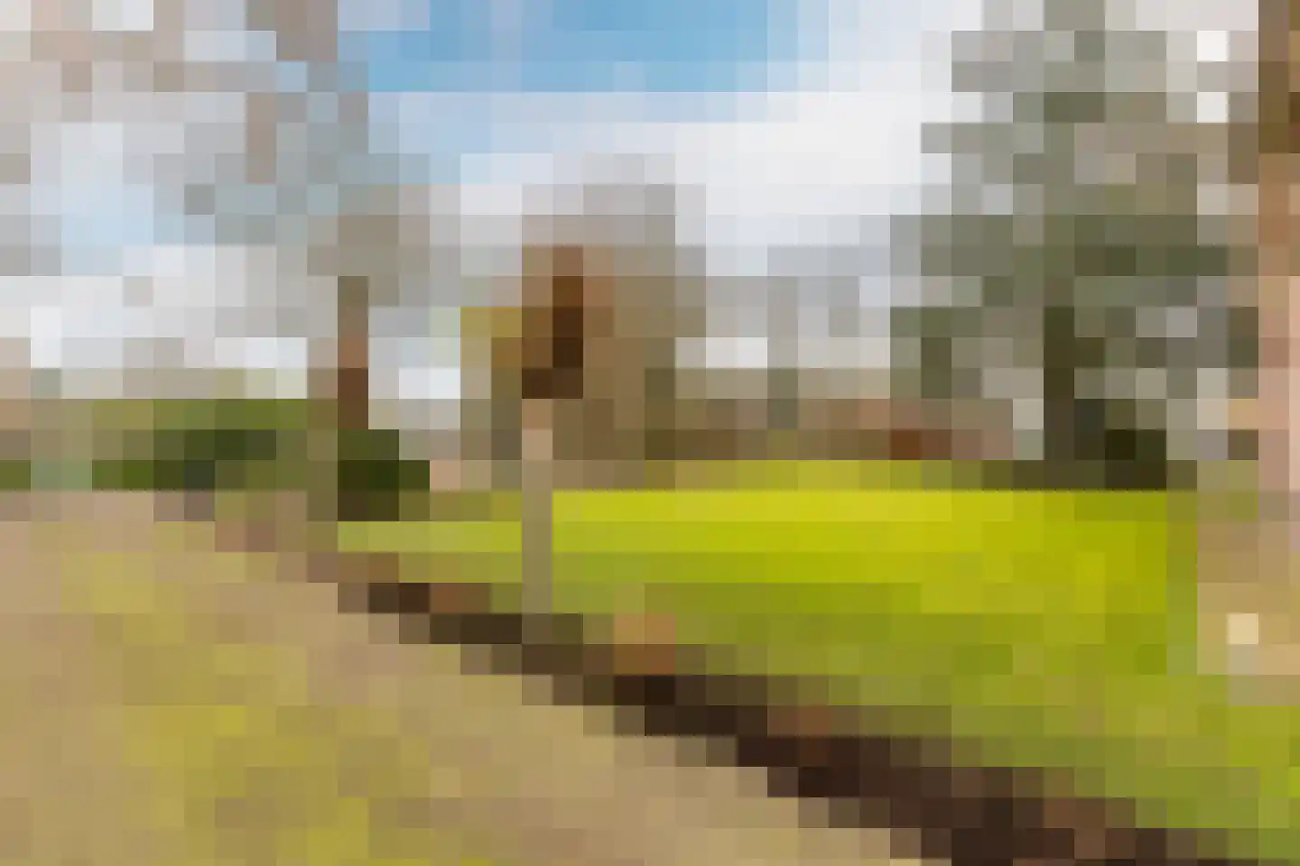 Loverensestraat 5 Cromvoirt thumbnail 48