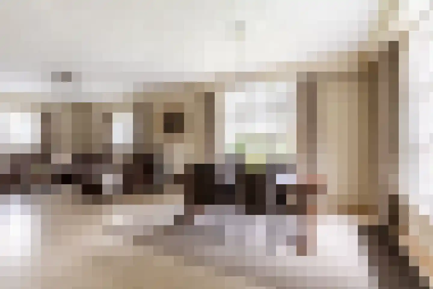 Loverensestraat 5 Cromvoirt thumbnail 5