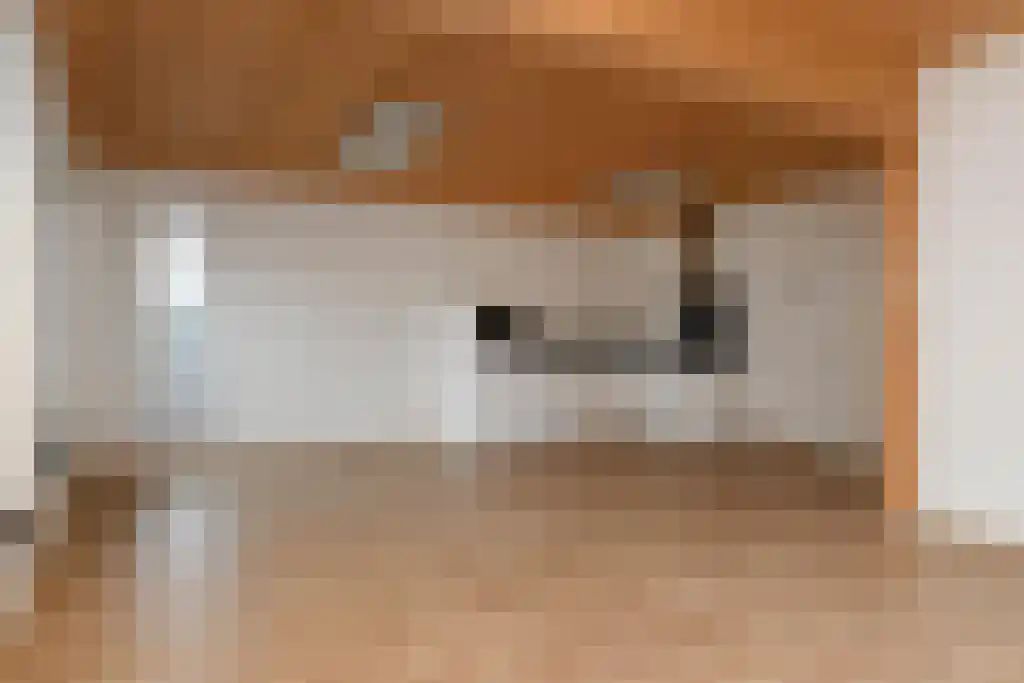 Loverhof 1 Panningen thumbnail 10