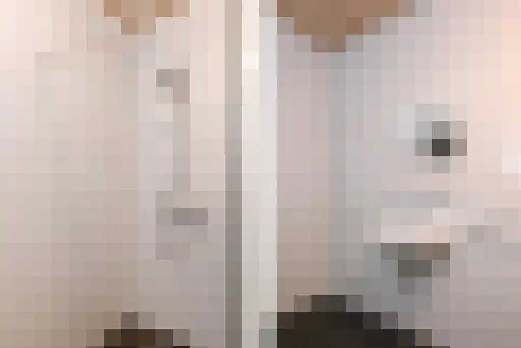 Loverhof 1 Panningen thumbnail 16