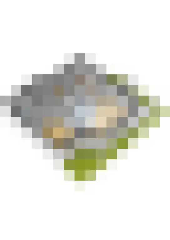 Loverhof 1 Panningen thumbnail 23