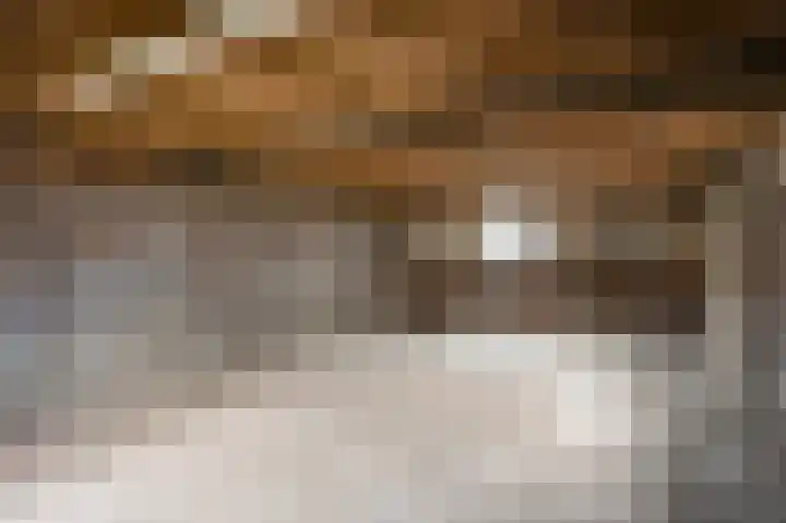 Loverixplein 12 A Banholt thumbnail 39