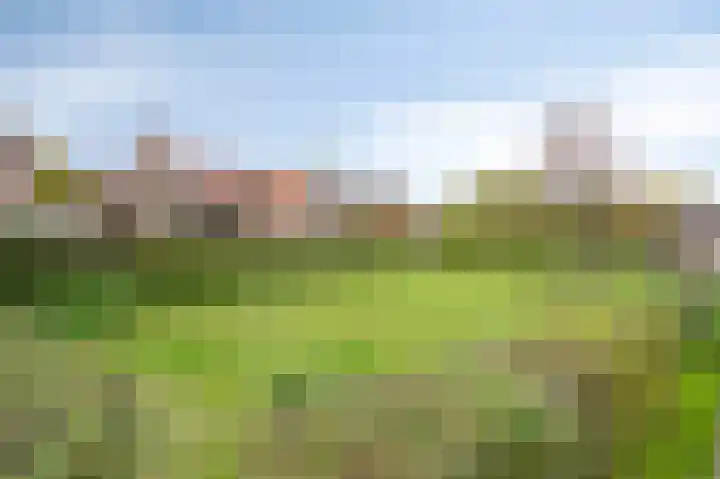 Loverixplein 12 A Banholt thumbnail 41