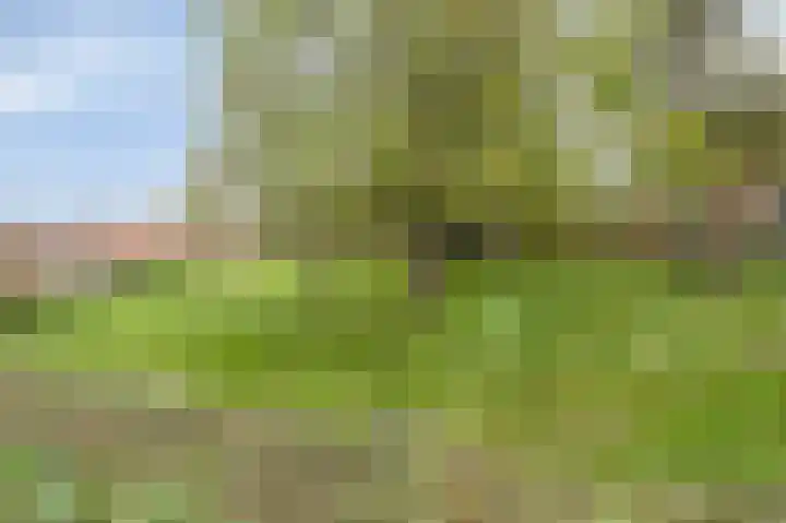 Loverixplein 12 A Banholt thumbnail 42