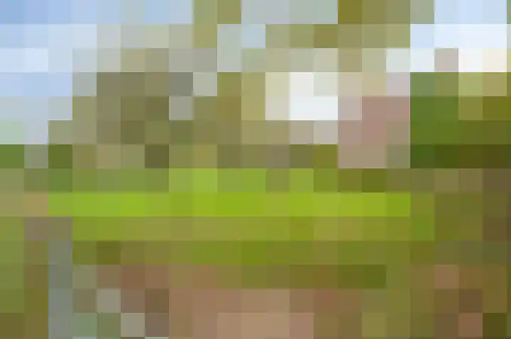 Loverixplein 12 A Banholt thumbnail 43
