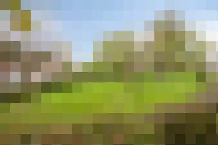 Loverixplein 12 A Banholt thumbnail 44