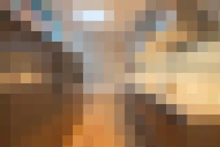 Loverpad 11 Heerlen thumbnail 9