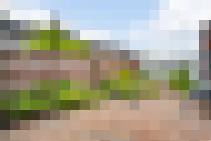 Loverstraat 37 Nederweert thumbnail 22