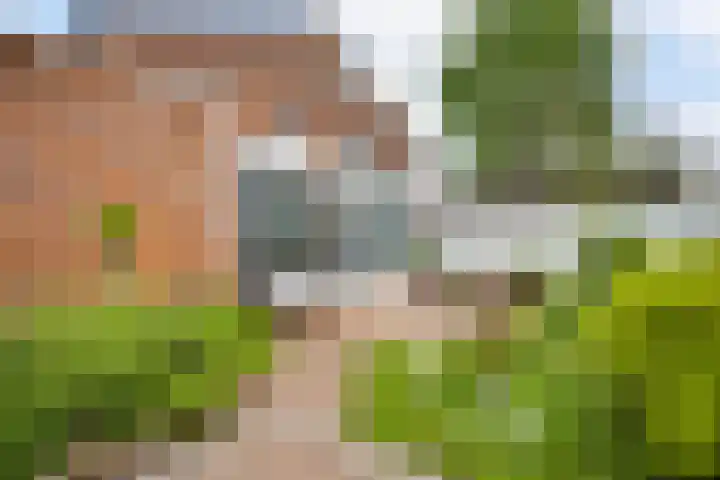 Loverstraat 37 Nederweert thumbnail 23