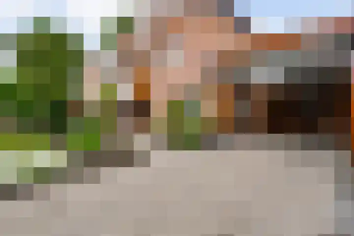 Loverstraat 37 Nederweert thumbnail 24