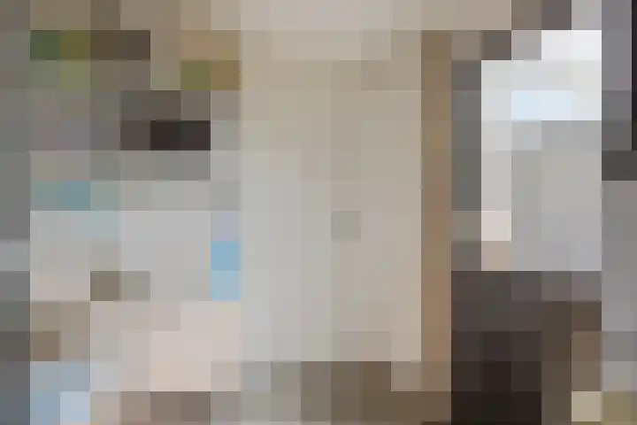 Lovinkstraat 5 Kampen thumbnail 15