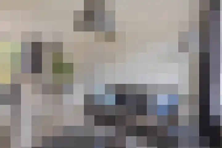 Lovinkstraat 5 Kampen thumbnail 6
