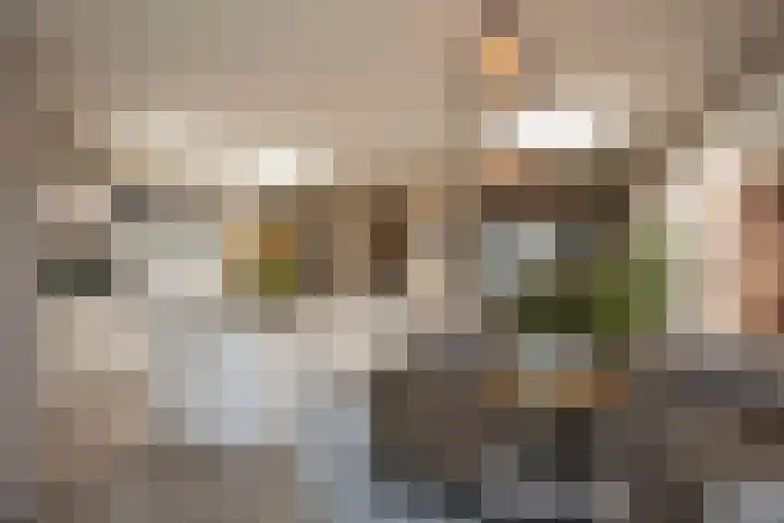 Loweg 29 Hengelo thumbnail 11
