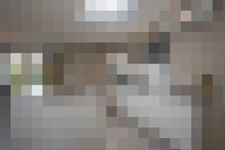Loweg 29 Hengelo thumbnail 12
