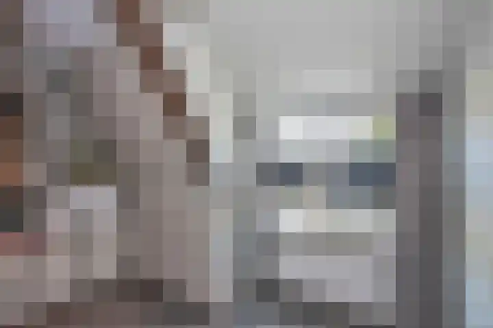 Loweg 29 Hengelo thumbnail 24