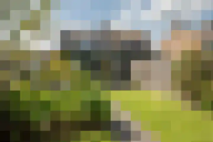 Loweg 29 Hengelo thumbnail 27