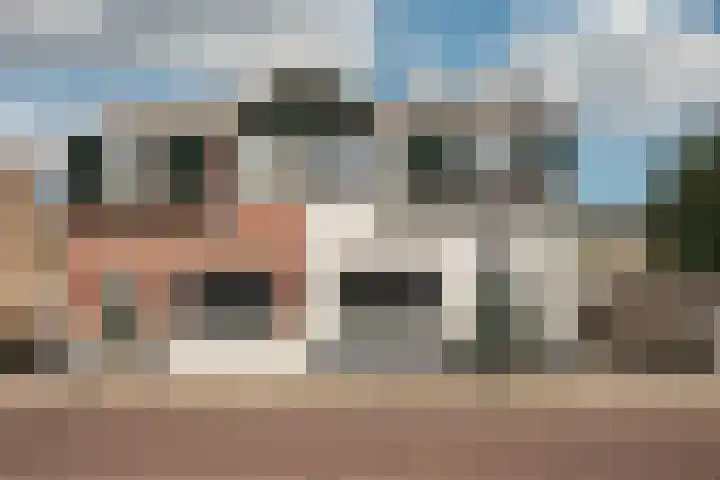 Loweg 29 Hengelo thumbnail 31