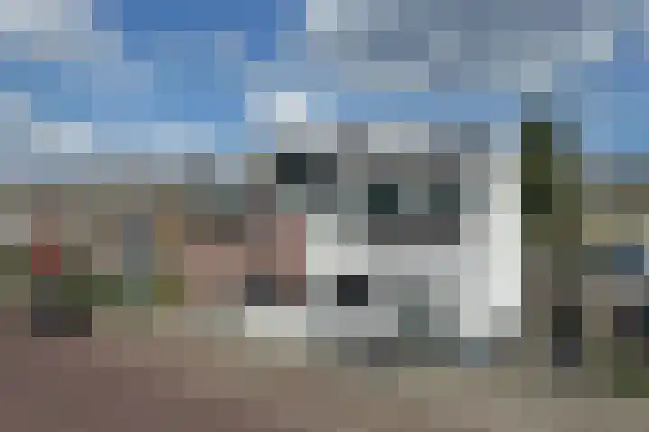 Loweg 29 Hengelo thumbnail 32