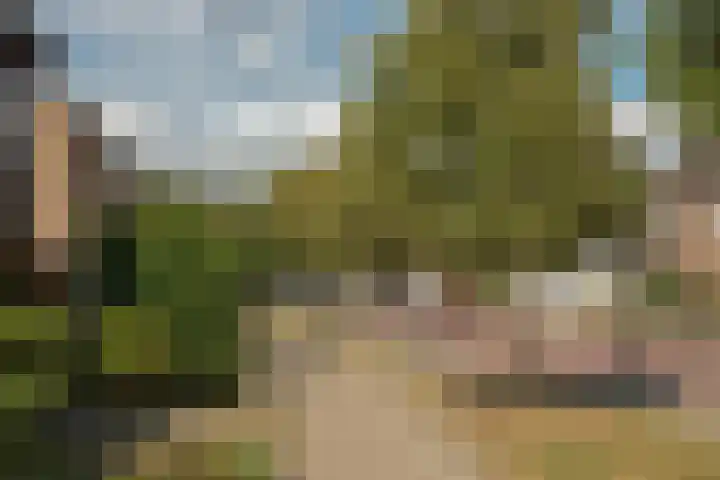 Loweg 29 Hengelo thumbnail 33