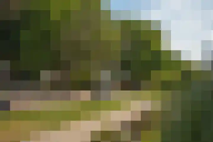 Loweg 29 Hengelo thumbnail 34