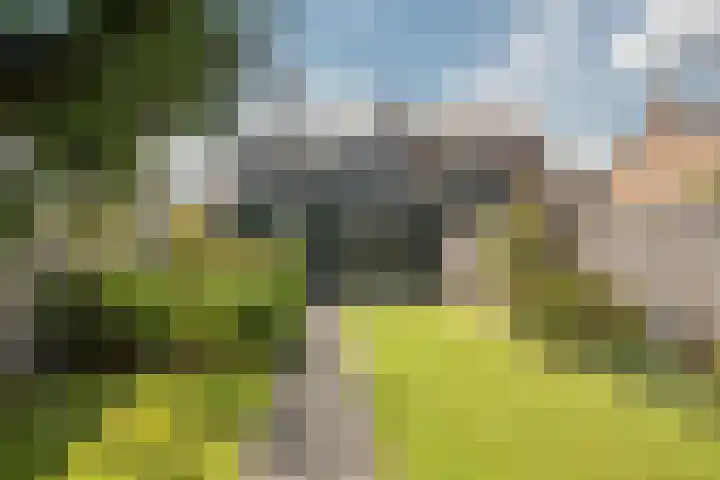 Loweg 29 Hengelo thumbnail 4