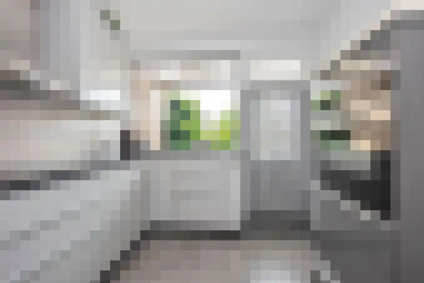 Loweg 4 Hengelo thumbnail 13