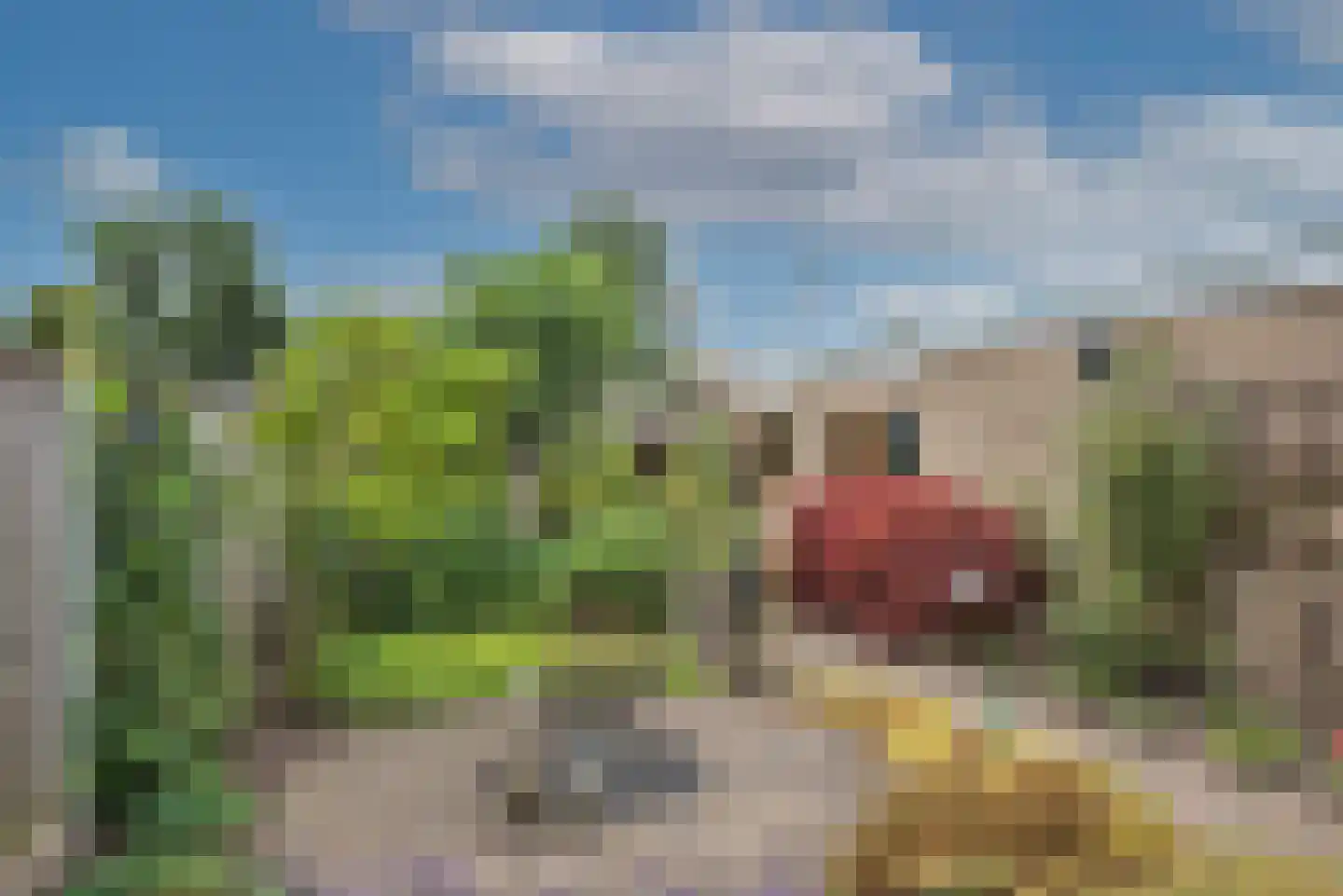 Loweg 4 Hengelo thumbnail 32