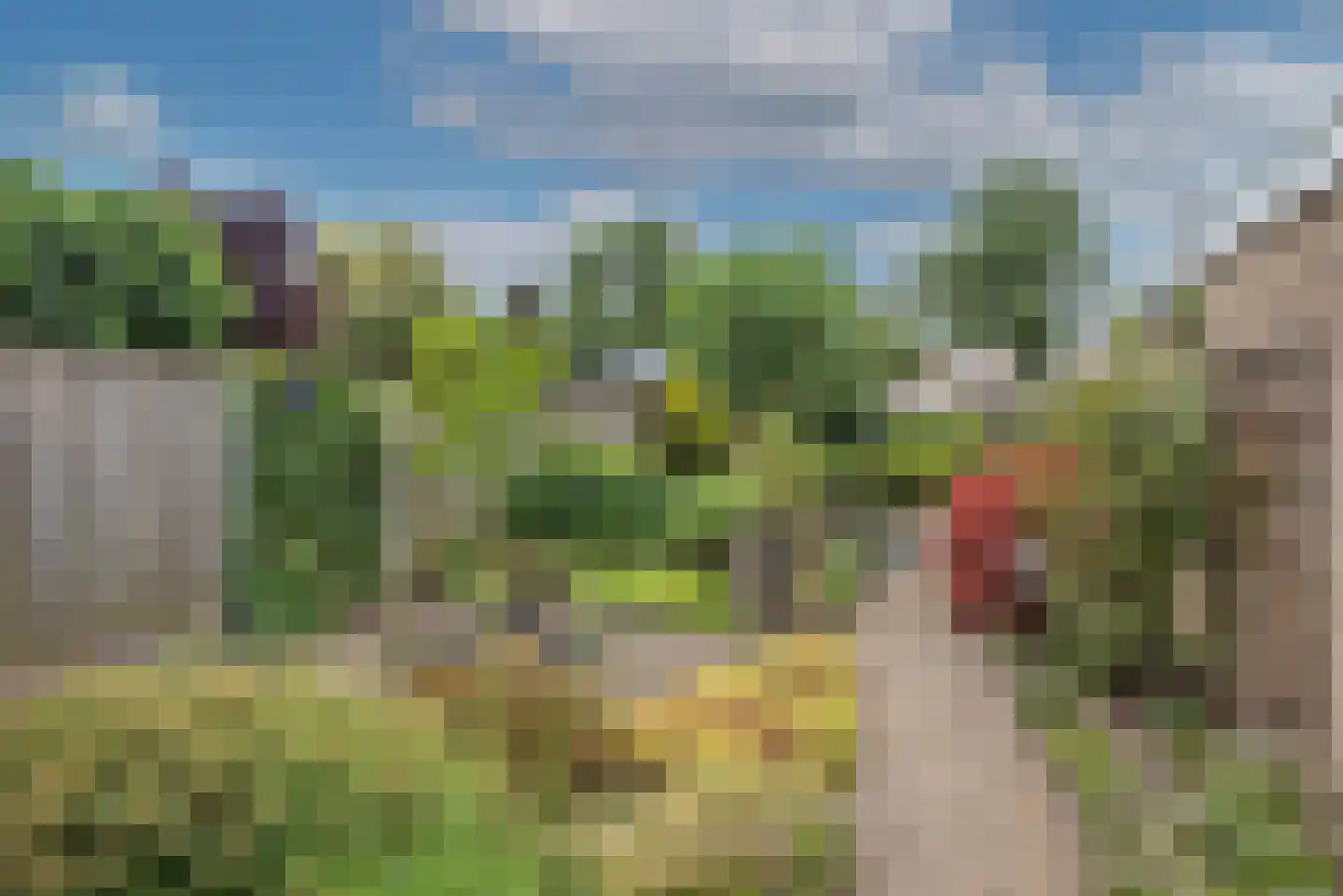 Loweg 4 Hengelo thumbnail 4