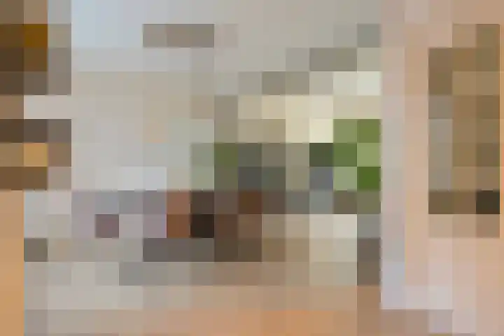 Loweg 46 Hengelo thumbnail 18